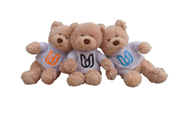 Osito De Peluche Mundo Universitario